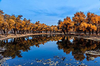 《绝地求生》母公司Krafton将转型一家AI优先公司