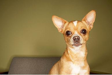 索尼发放社区挑战奖励：宇宙机器人头像 限时兑换